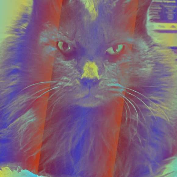 POSH AMBASSADOR 2 & suggested user.. 😊 - Picture 16 of 17